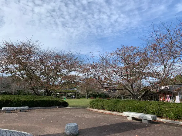 風景