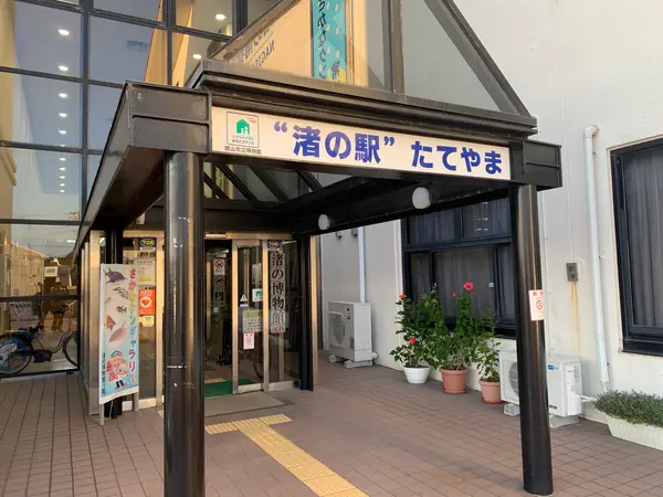 さかなクンギャラリー入口