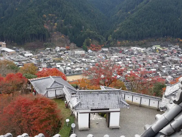 郡上八幡の町を見渡せます