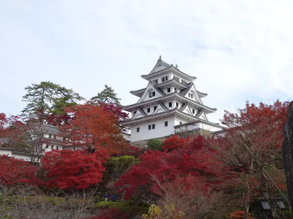 紅葉の郡上八幡城