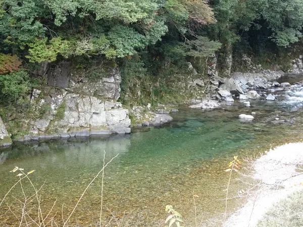 モネの池　近くの川