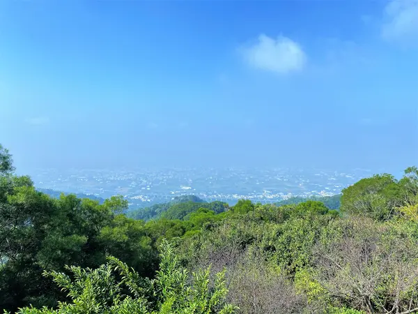 猴探井 天空之橋