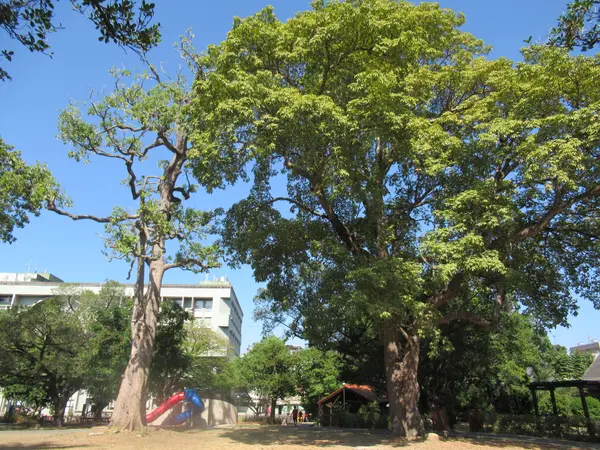 中山公園