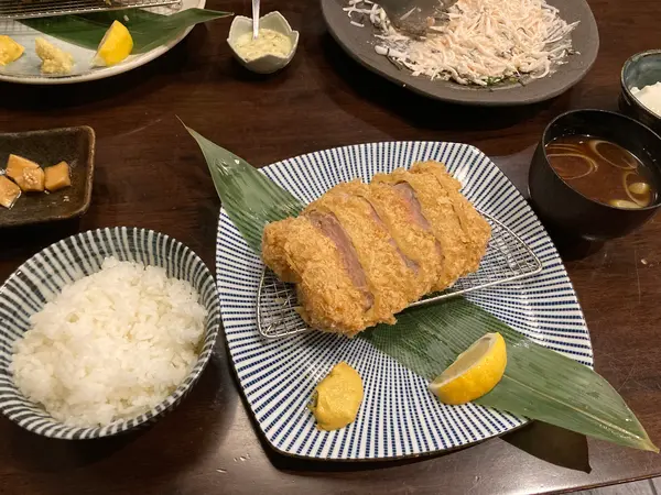 吟上ヒレカツ膳