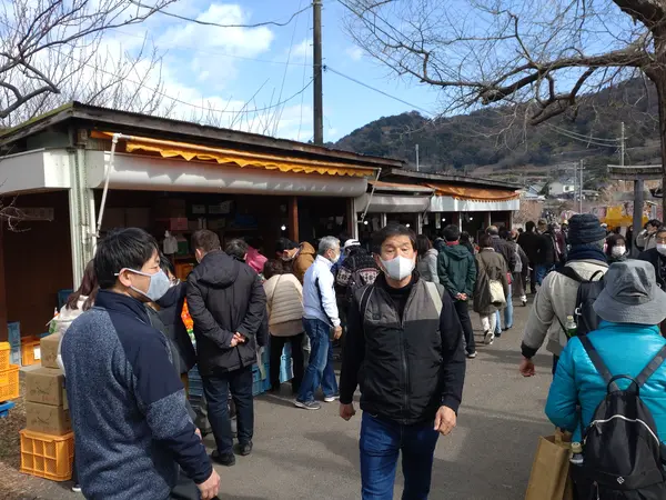 ここの一角だけでも充分に楽しいです。