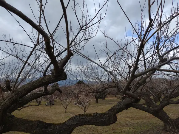 観光スポットは点在