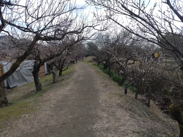 道は整備されてます。