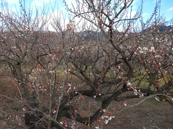 絶景インスタ映えスポット