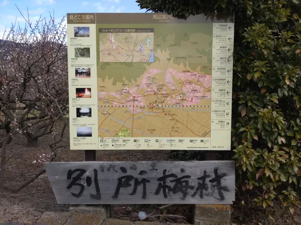 エリアマップ。