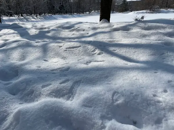 よく見ると