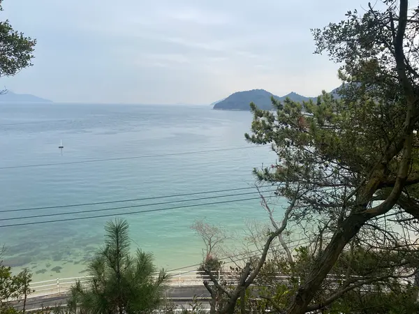 海が見えました😍