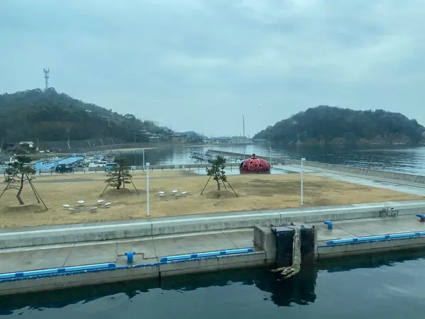 船の上からもみえました！！