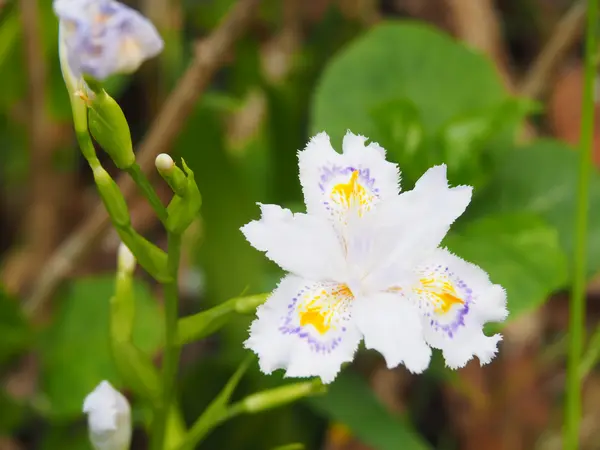 季節ごとの花が楽しめます