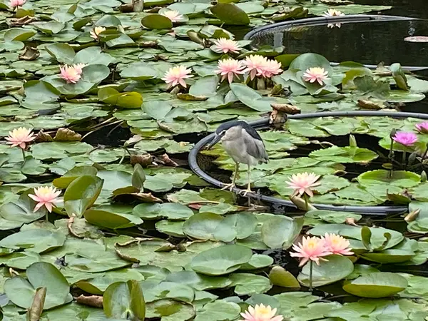 国立台湾芸術教育館