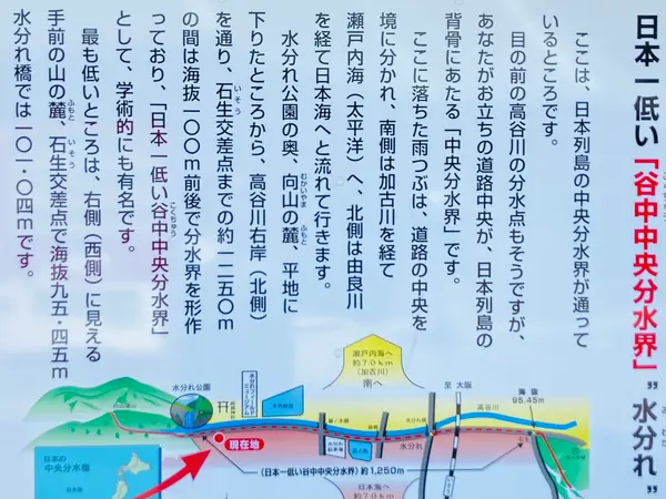 ここ、谷中中央分水界なんですって