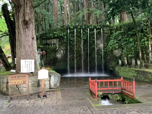 スポット内のおすすめ