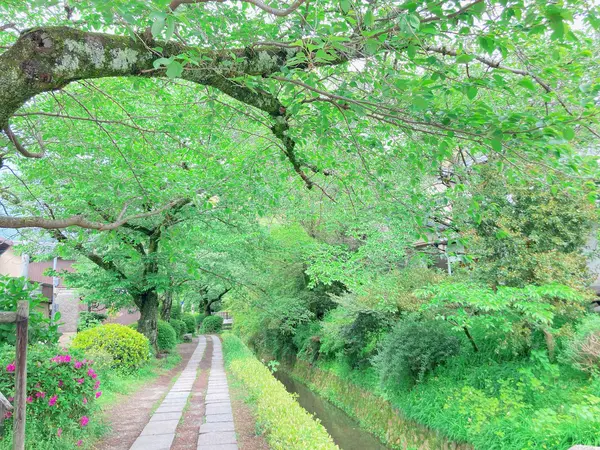 【立ち寄りスポット】哲学の道