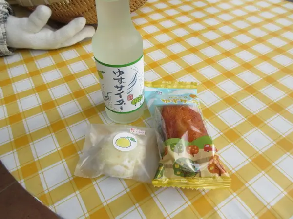 ゆずを堪能