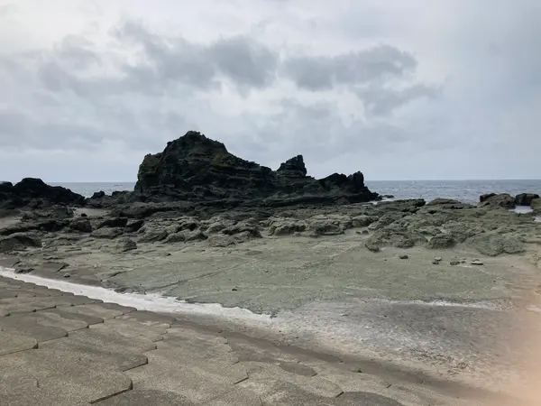 曇りだったので