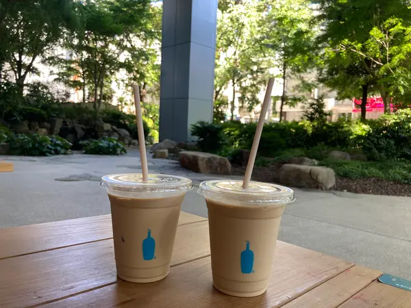 テラス席は木に囲まれてます