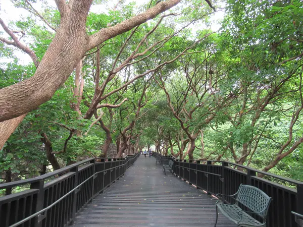 台北故宮天下為公牌楼・華表大道