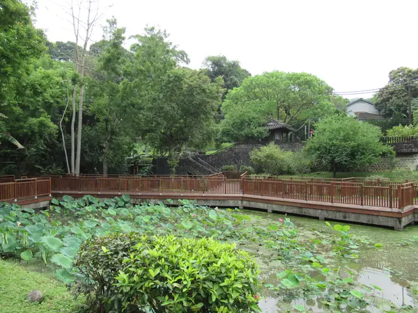 至徳園 蓮池と翠堤曲橋