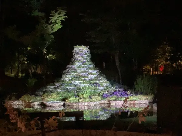 お庭夜のライトアップ
