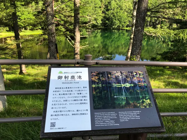 スポット内のおすすめ