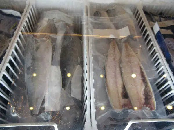 大鯖魚夢工廠