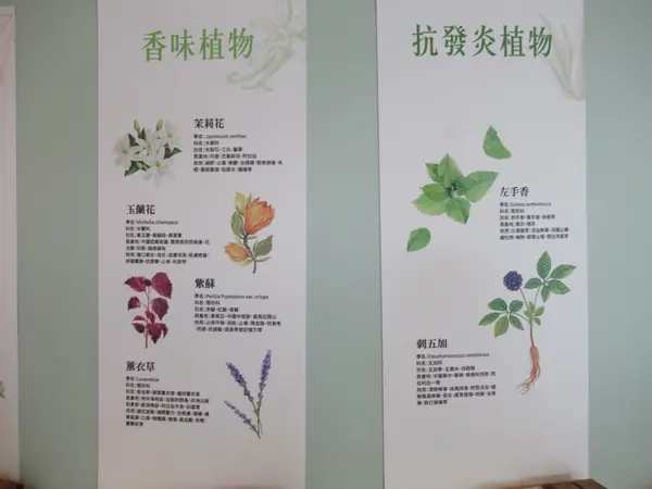 Healtdeva 赫蒂法荘園