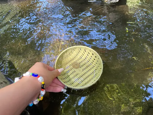 ザルに入れて洗います