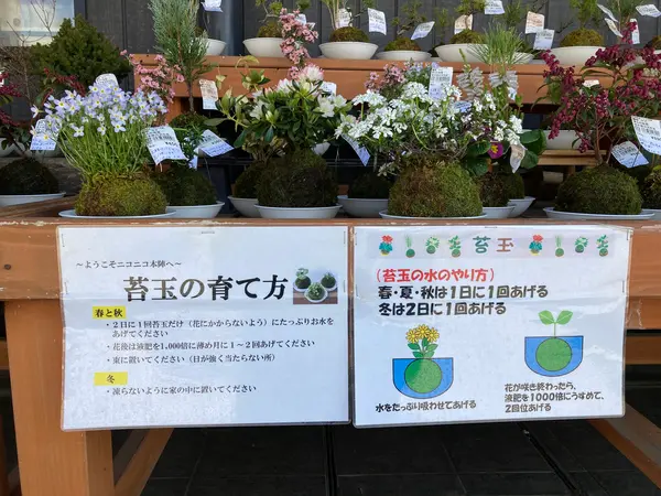 スポット内のおすすめ