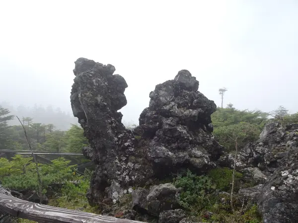 自然の造形