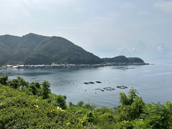 伊根湾舟屋群展望台
