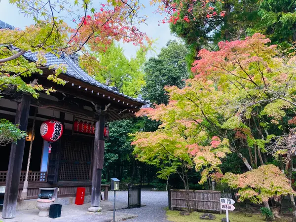 秋の紅葉時期にもぜひ☺️