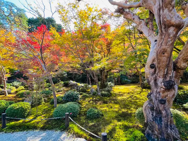 庭園「十牛之庭」