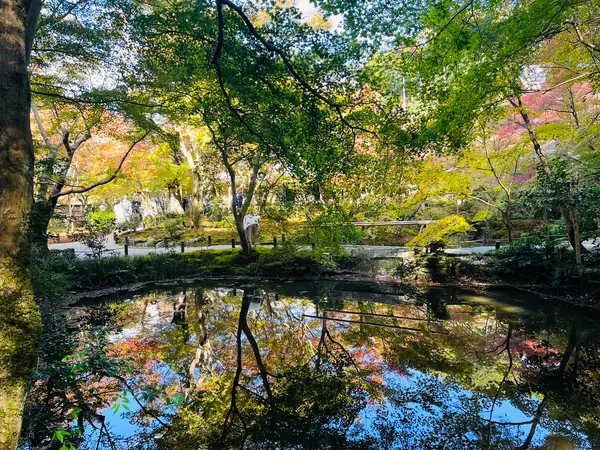 庭園「十牛之庭」の池