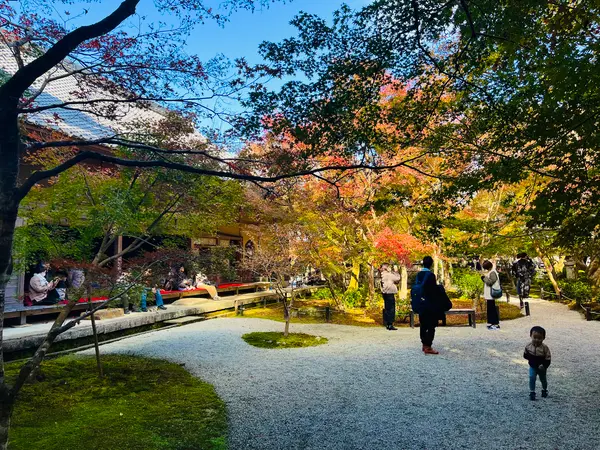 庭園「十牛之庭」から瑞雲閣を