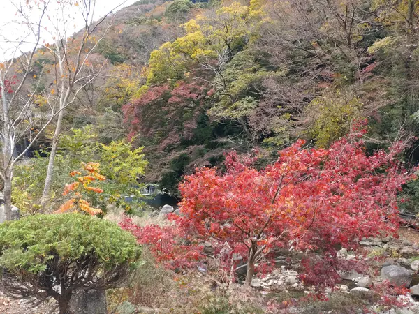 箱根湯本駅から徒歩でも