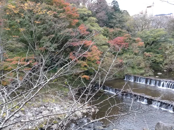バルコニーからの眺め