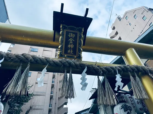 金ピカの鳥居