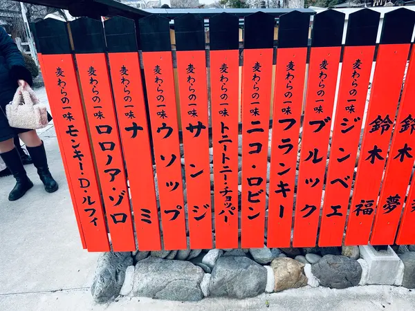 麦わらの一味