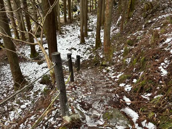 滑りやすいので気をつけて🚶