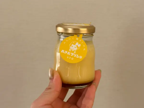 レトロプリン