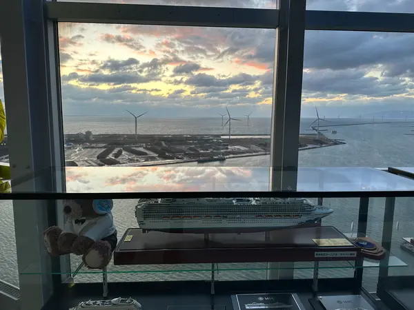 展望台からの景色