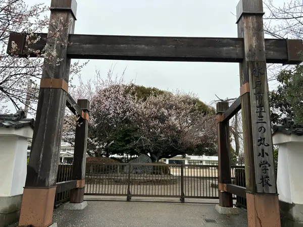 すぐ近くの三の丸小学校