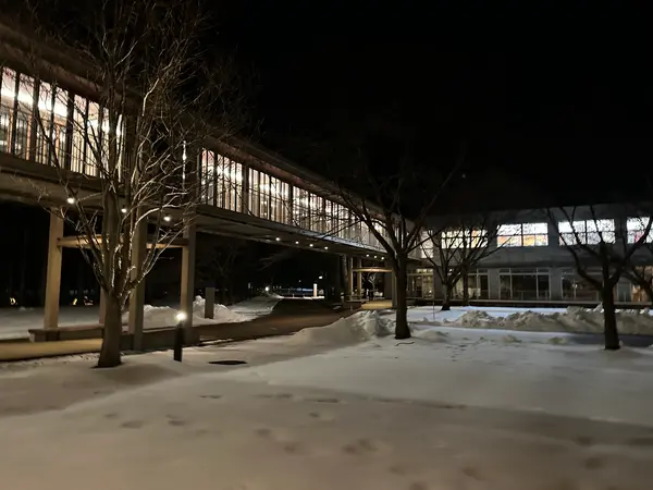 大学の雰囲気