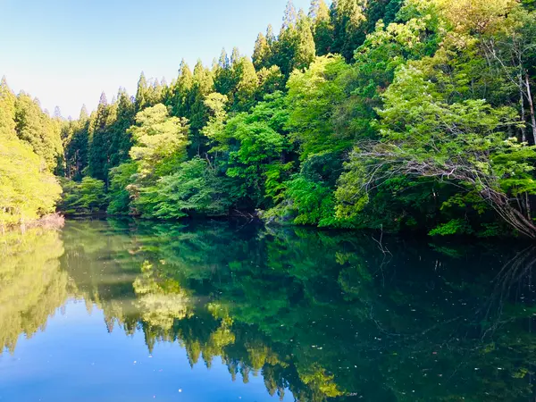 滝の上には神秘的な池が