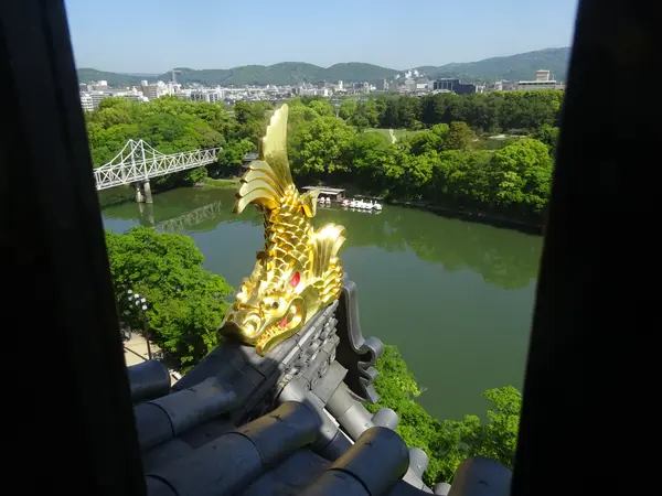 金のしゃちほこ発見…！