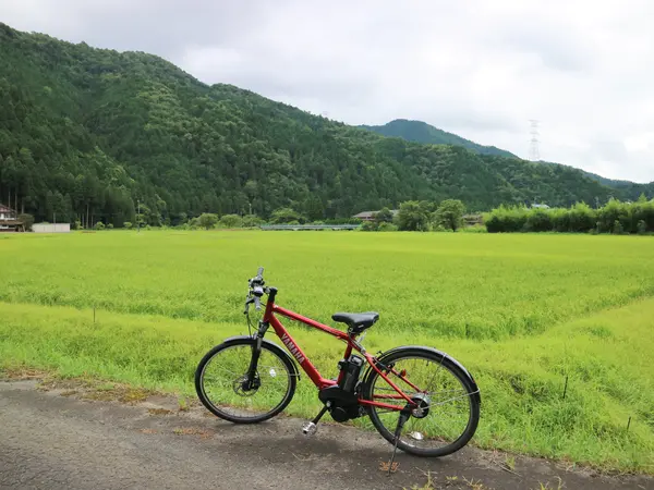 Cycling through the rural scenery